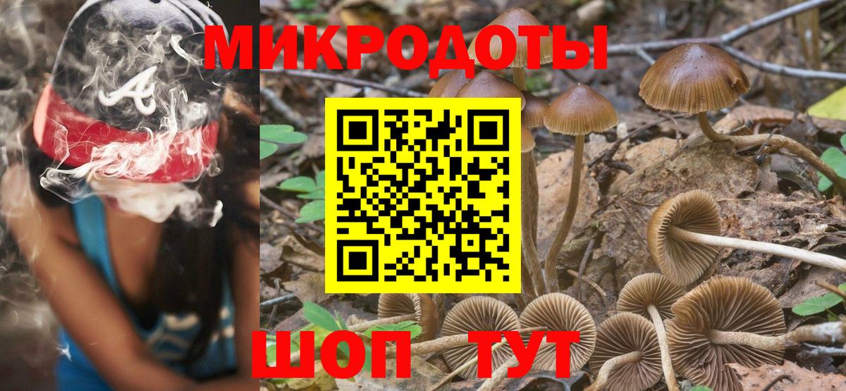 Еманжелинск  Псилоцибиновые грибы Psilocybe  Вход с VPN 